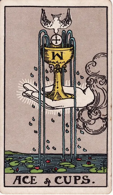 Ace of Cups tarot card