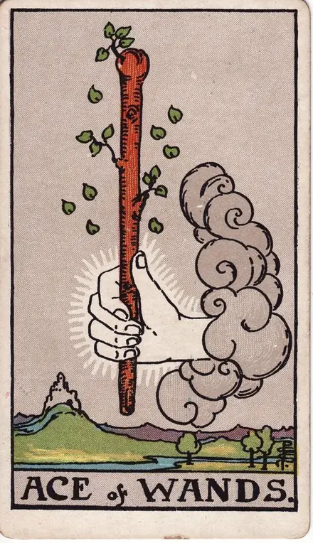 Ace of Wands tarot card